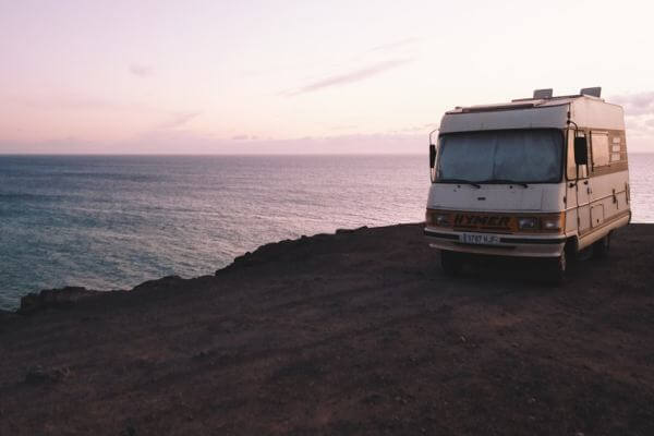 Gertie banner image